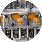 the extraction cups of CitroEvolution3, our industrial orange juicer