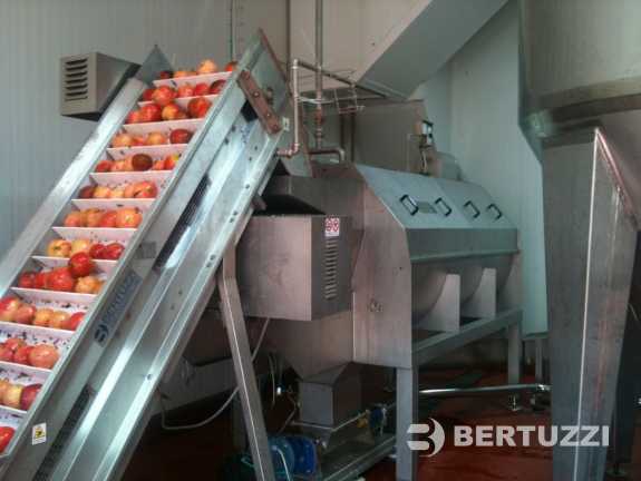 Machines & Plants for Pomegranate Juice Processing: Deseeders & more